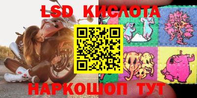 jwh Камышлов