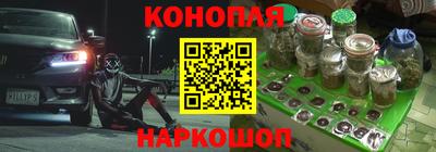 jwh Камышлов