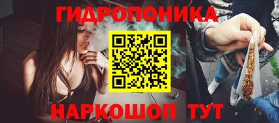 spice Канаш