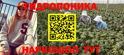 spice Канаш
