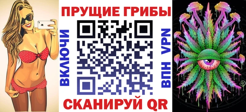 Галлюциногенные грибы Psilocybine cubensis  Усть-Джегута 