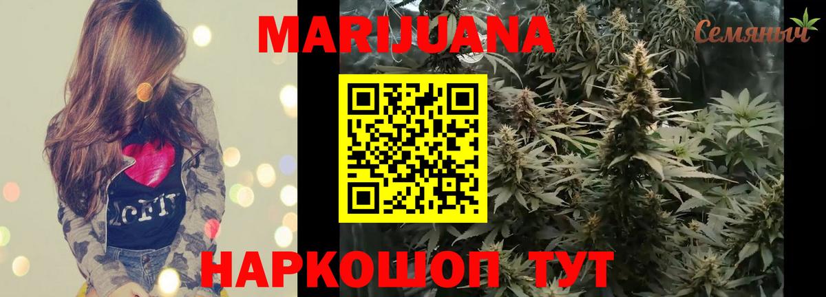 Конопля сатива Усть-Джегута